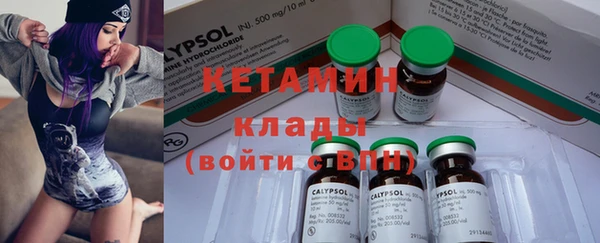 крисы Аркадак