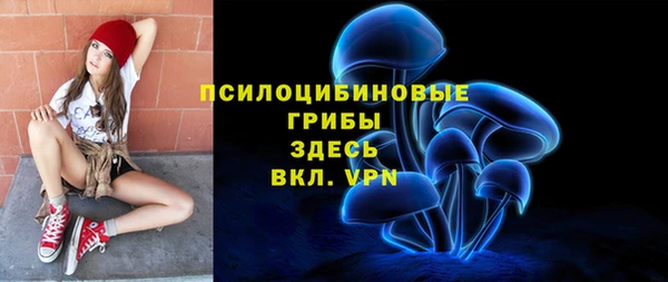 крисы Аркадак