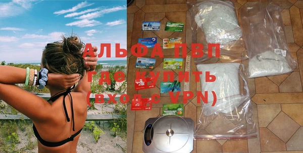 крисы Аркадак