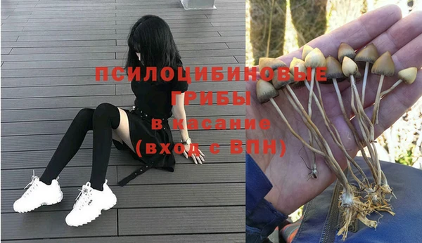 a pvp Арсеньев