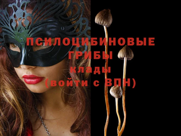 крисы Аркадак