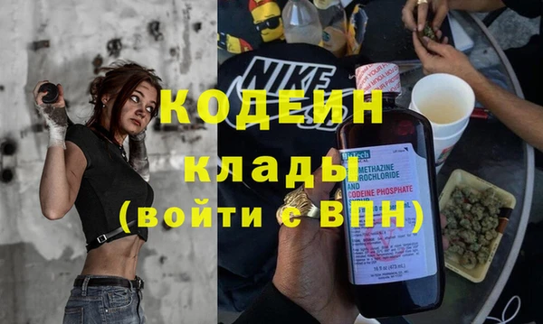 крисы Аркадак