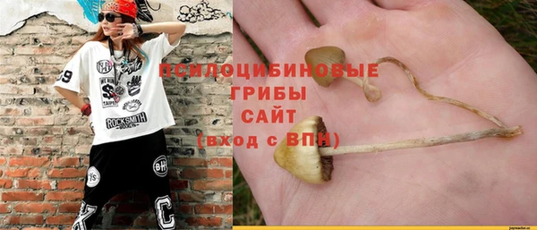 крисы Аркадак