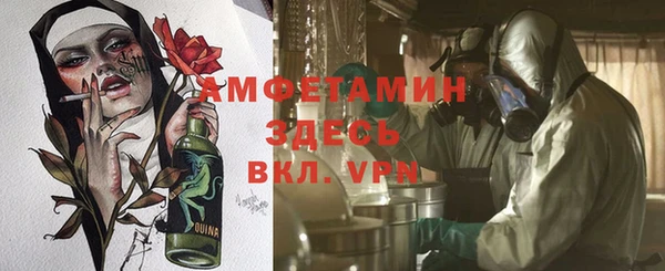 крисы Аркадак