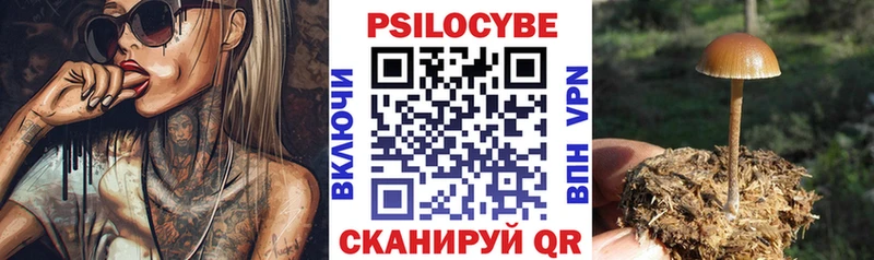 где можно купить наркотик  Ишим  Галлюциногенные грибы Psilocybe 